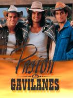 Pasión de gavilanes (Serie de TV) - Poster / Imagen Principal