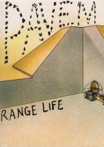 Pavement: Range Life (Vídeo musical)