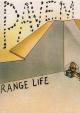 Pavement: Range Life (Vídeo musical)