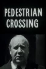 Pedestrian Crossing (C)
