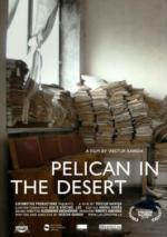 Pelican in the Desert 
