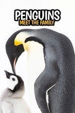 Penguins: Meet the Family (TV) - Poster / Main Image