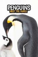 Penguins: Meet the Family (TV) - Poster / Main Image
