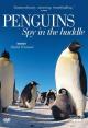 Penguins – Spy in the Huddle (Miniserie de TV)