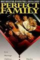 Una familia perfecta (TV)