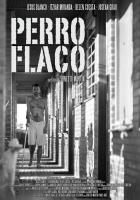 Perro flaco  - Poster / Imagen Principal