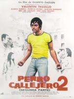 Perro callejero II  - Poster / Imagen Principal