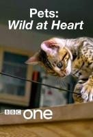 Pets: Wild at Heart (TV Miniseries) - Poster / Main Image