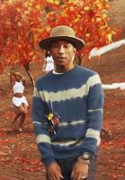 Pharrell Williams: Gust of Wind (Music Video) - Poster / Main Image
