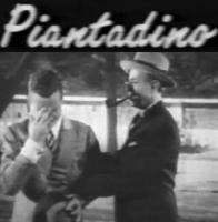 Piantadino  - Poster / Imagen Principal