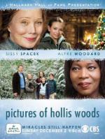 Pictures of Hollis Woods (TV)
