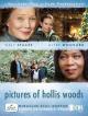 Retratos de Hollis Woods (TV)