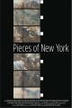 Pieces of New York 