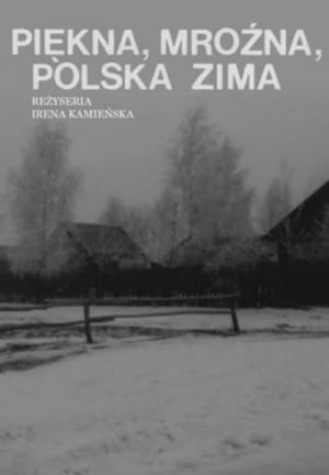 A Beautiful, Freezing, Polish Winter (C)