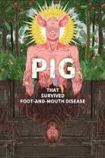 Pig That Survived Foot-and-Mouth Disease 