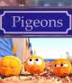 Pigeons (S)