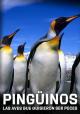 Pingüinos, la historia de las aves que quisieron ser peces 