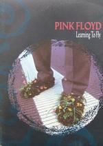 Pink Floyd: Learning to Fly (Music Video)