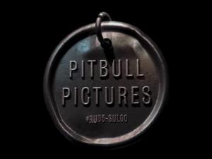 Pitbull Pictures
