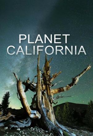 Planet California (TV Series)