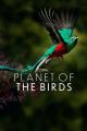 El planeta de los pájaros 