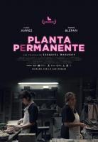 Planta permanente  - Poster / Imagen Principal