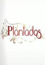Plantados (TV Series)