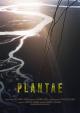 Plantae (C)