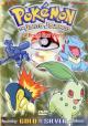 Pokémon: The Johto Journeys (TV Series)