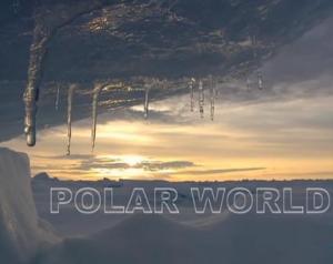 El mundo polar 