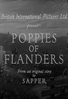 Poppies of Flanders  - 