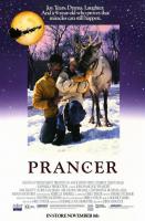 Prancer  - 