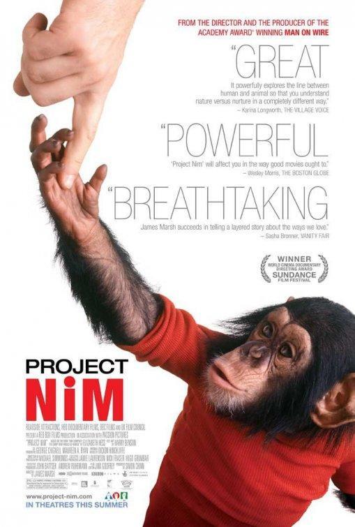 Proyecto Nim  - Poster / Imagen Principal
