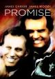 La promesa (TV)