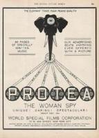 Protéa  - Poster / Imagen Principal