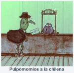 Pulpomomios a la chilena (C)