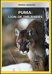 Puma: El león de Andes (1996) - Filmaffinity