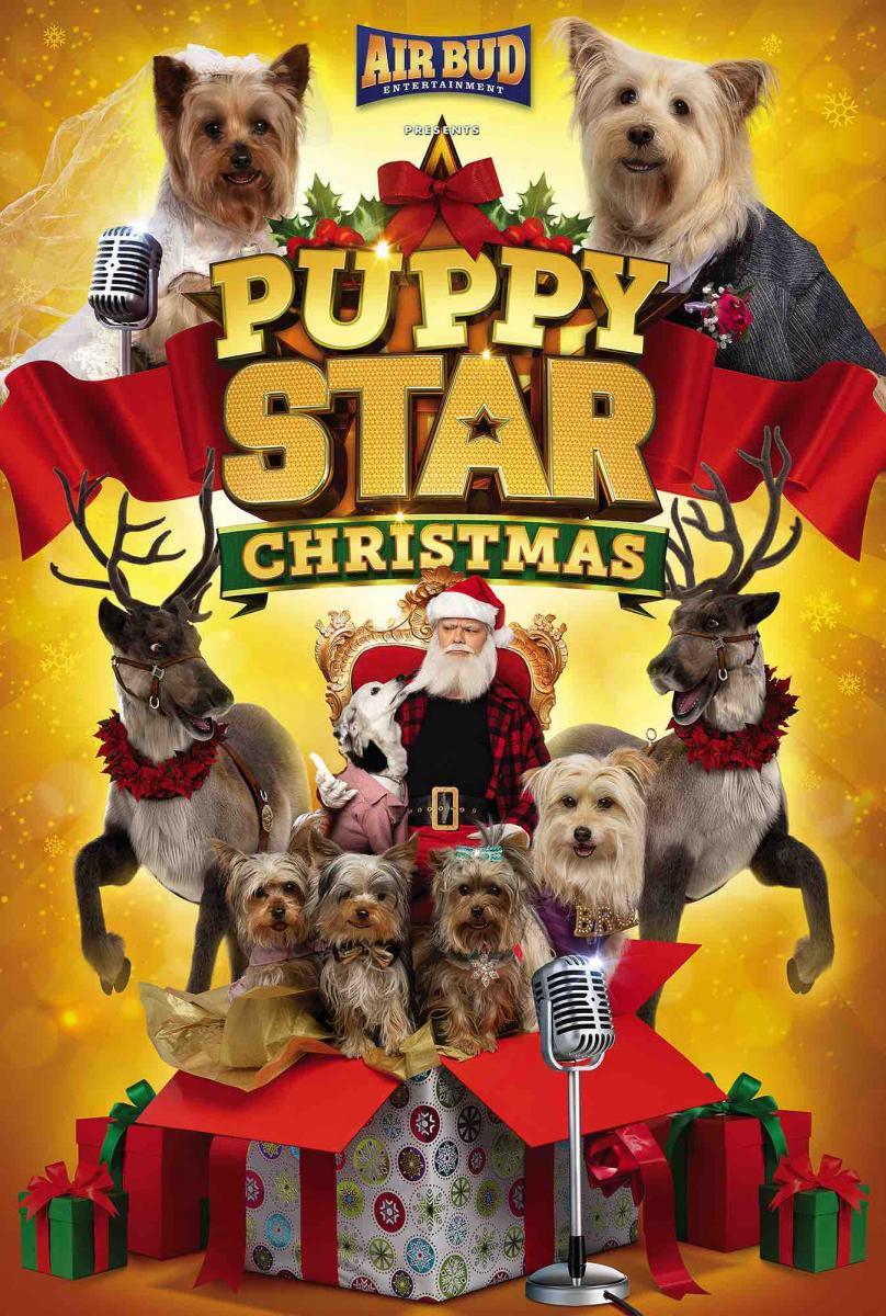 Puppy Star Christmas 