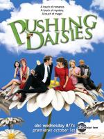 Pushing Daisies (TV Series) - Posters
