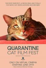 Quarantine Cat Film Fest 