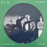 R.E.M.:  Nightswimming (Vídeo musical)