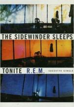 R.E.M.: The Sidewinder Sleeps Tonite (Vídeo musical)