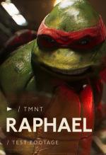 Raphael Unleashed (C)