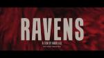 Ravens 