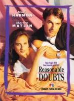 Reasonable Doubts (TV Series)