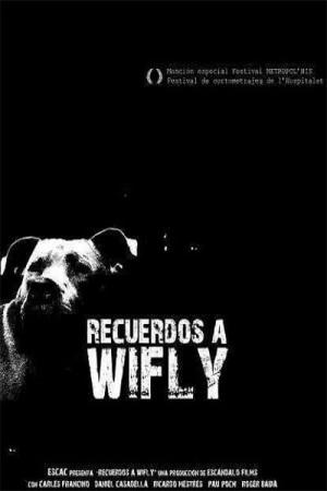 Recuerdos a Wifly (S)