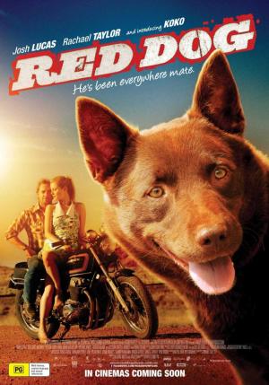 Red Dog, una historia de lealtad 