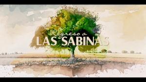 Regreso a Las Sabinas (Serie de TV)