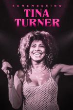 Remembering Tina Turner 