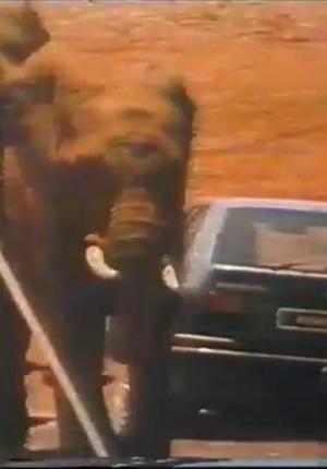 Renault 19: The Elephants (S)